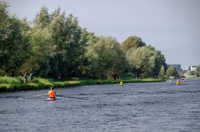 Roeien op de Vliet