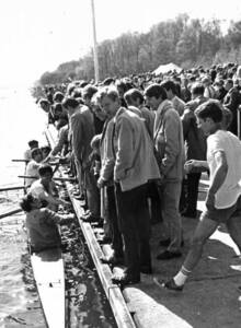 2020-05-24-de-rijnland-leeuw-heft-het-hoofd-4