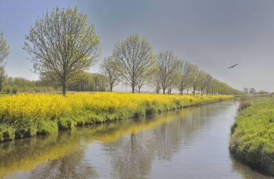 2020-06-22-vergeten-polder-2-het-domein-van-de-bruine-kiekendief-22-april-2020