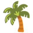 2022-06-04-1-juli-2022-weer-row-op-rijnland-palmboom