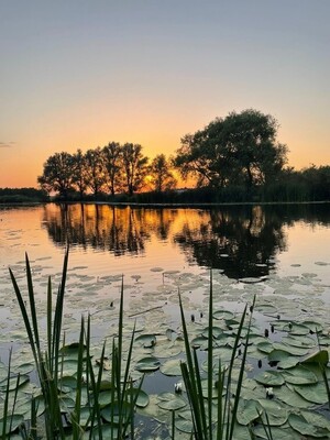 2022-07-10-midzomeravondtocht-2