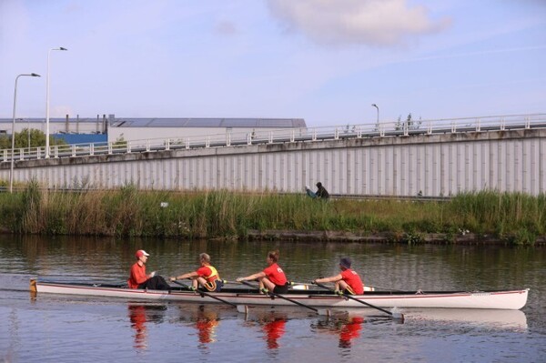 2025-07-16-pluim-roeit-de-ringvaart-3