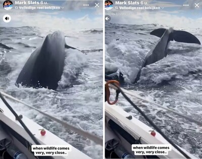 2026-01-13-hoe-mark-de-oceaan-overroeit-3-fig3