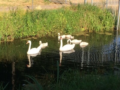 2026-03-09-lentevieren