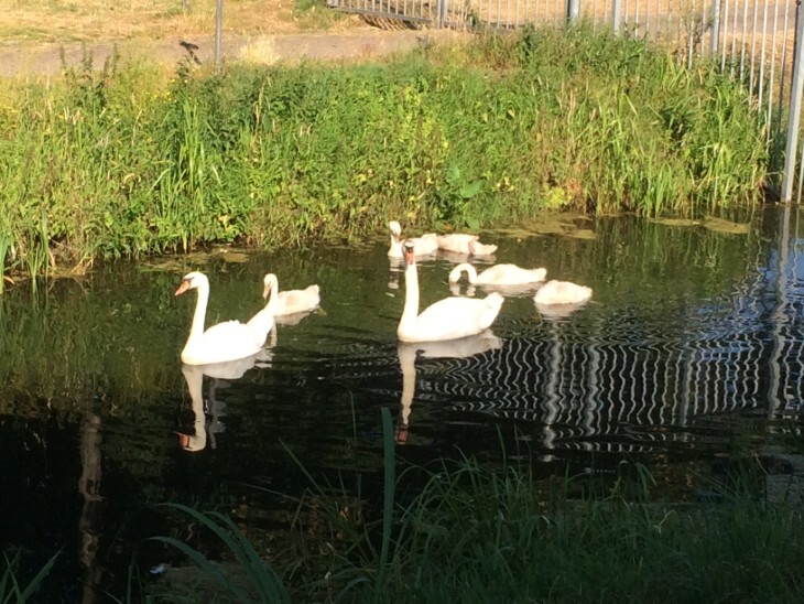 2026-03-09-lentevieren