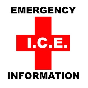 ice-logo
