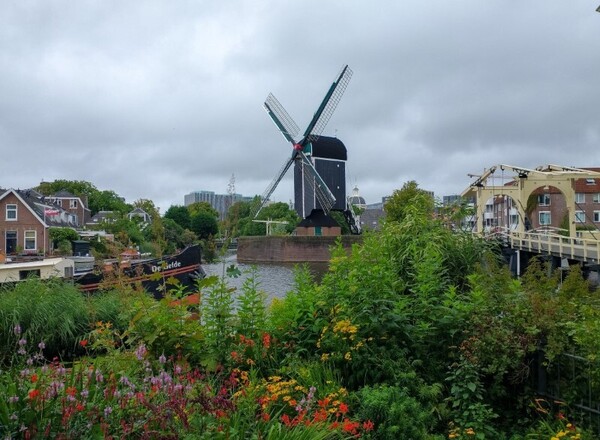 molen-de-put